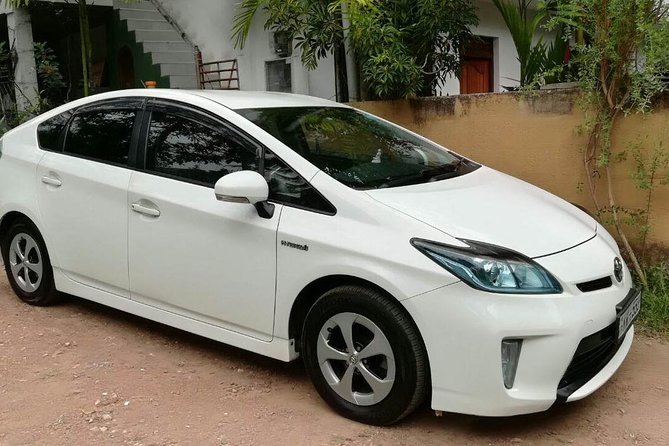 Habarana City to Dambulla City Private Transfer - Good To Know
