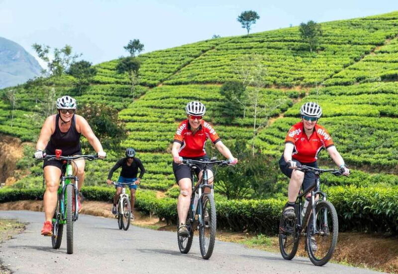 Habarana: Countryside Cycling Tour From Sigiriya, Dambulla - Exploring the Countryside on Two Wheels