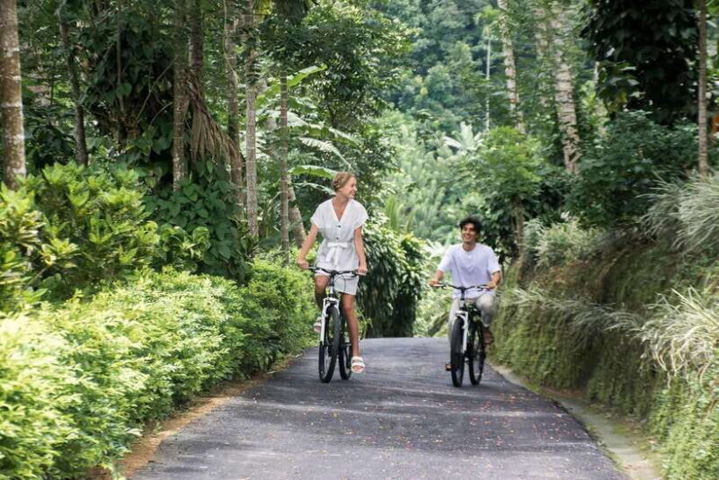 Habarana: Countryside Cycling Tour From Sigiriya, Dambulla - Practical Tips for Your Ride