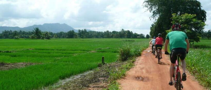 Habarana: Countryside Cycling Tour From Sigiriya, Dambulla - Who Will Love This Tour?