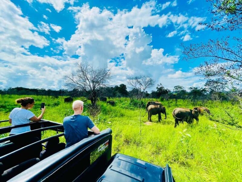 Habarana: Elephants & Loris Watching Night Safari Tour - Who Should Book This Tour?