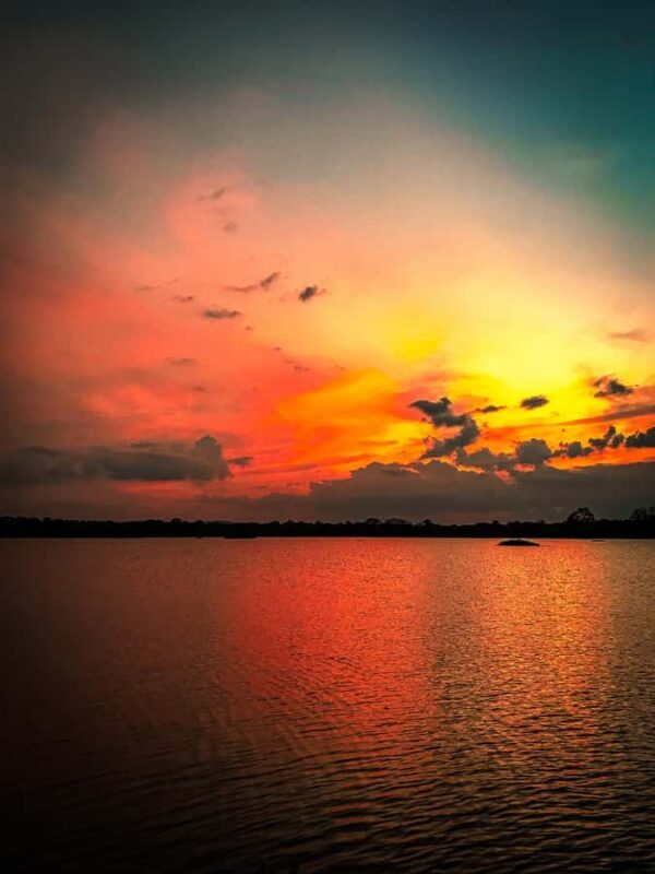 Habarana: Hiriwadunna Village Tour with Lunch - Who Will Love This Tour?