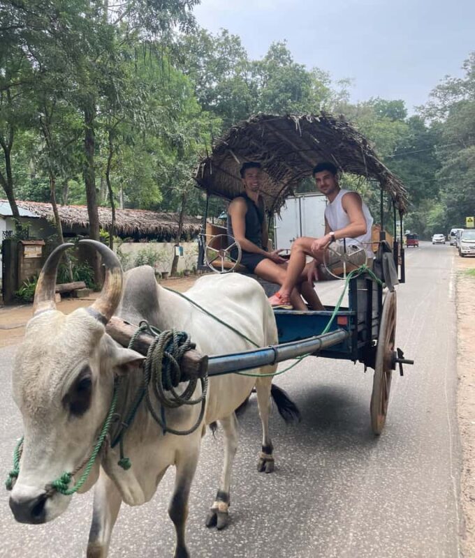 Habarana: Pure Village Life and Cultural Experience Day Tour - A Deep Dive into the Experience