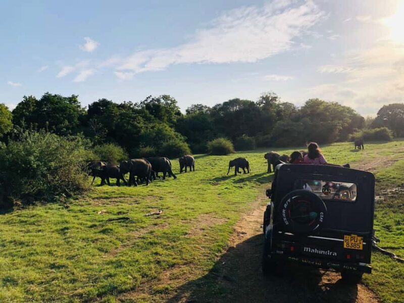 Habarana: Pure Village Life and Cultural Experience Day Tour - Good To Know