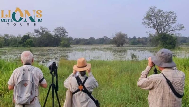Habarana & Sigiriya: Night Safari to see nocturnal wildlife - Practical Details and Tips