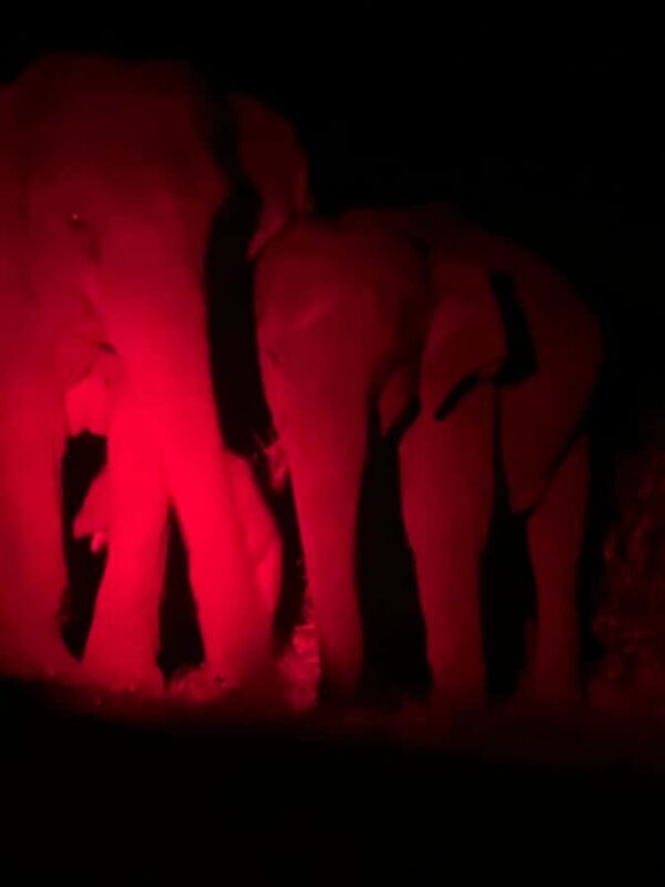 Habarana & Sigiriya: Night Safari to see nocturnal wildlife - FAQ