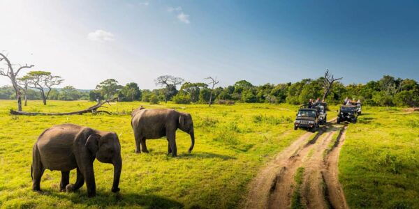 Habarana Village Tour & Safari - Best Time to Visit