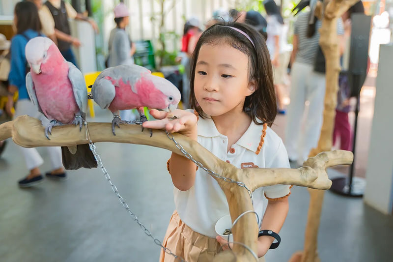 Habitat Park SCBD in Jakarta - A green pause in the SCBD district