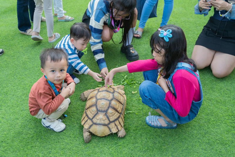 Habitat Park SCBD in Jakarta - Main park paths and free-roaming animals