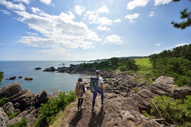 Hachinohe Full-Day Private Trip With Government-Licensed Guide - Cancellation Policy Details