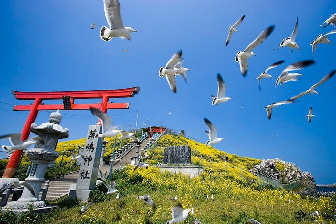 Hachinohe Half-Day Private Trip With Government-Licensed Guide - Weather Considerations