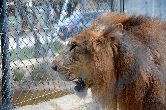 Hacienda Napoles From Medellin With Breakfast - Medellín - What to Expect at Hacienda Napoles
