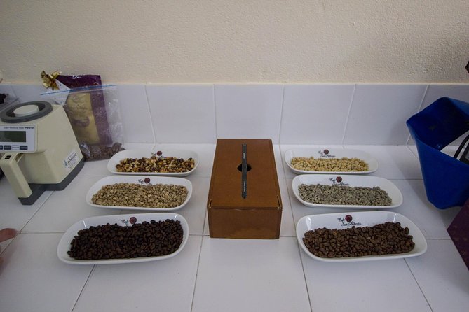 Hacienda San Alberto: Salento's Coffee Adventure Hub - Logistics