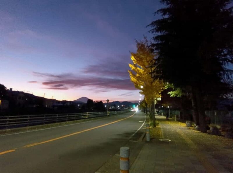 Hadano, Japan: Strawberry Picking Experience Near Tokyo - FAQ