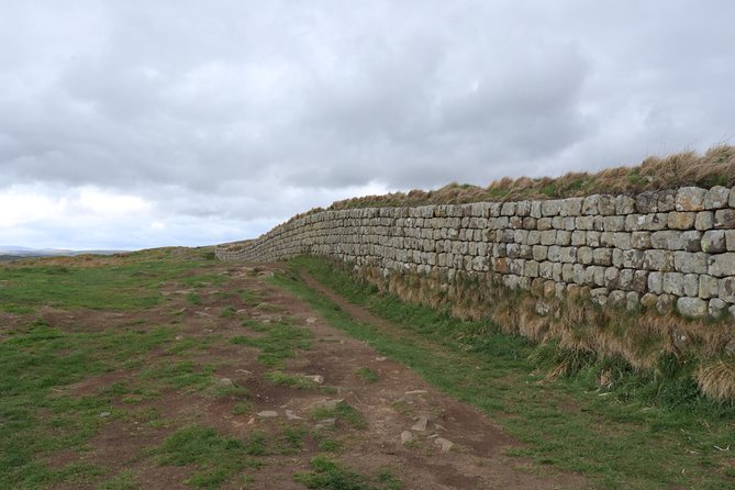 Hadrians Wall Day Tour - a Guided Walk of the Roman Frontier - Reviews