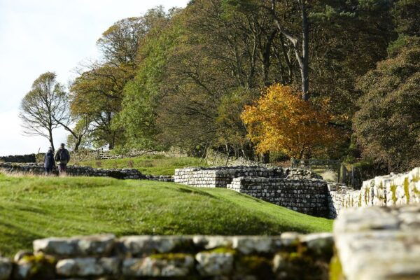 Hadrian's Wall: Housesteads Roman Fort Entry Ticket - Common Questions