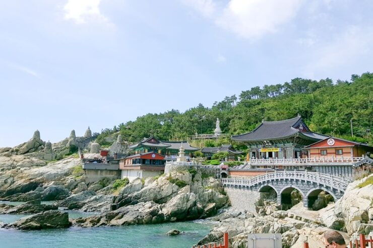 Haedong Yonggungsa Temple, Camellias Island & More - Highlights of the Tour
