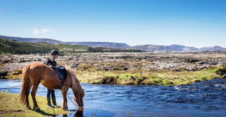 Hafnarfjörður: Horseback Riding Tour in Reykjavik Area - Tour Details