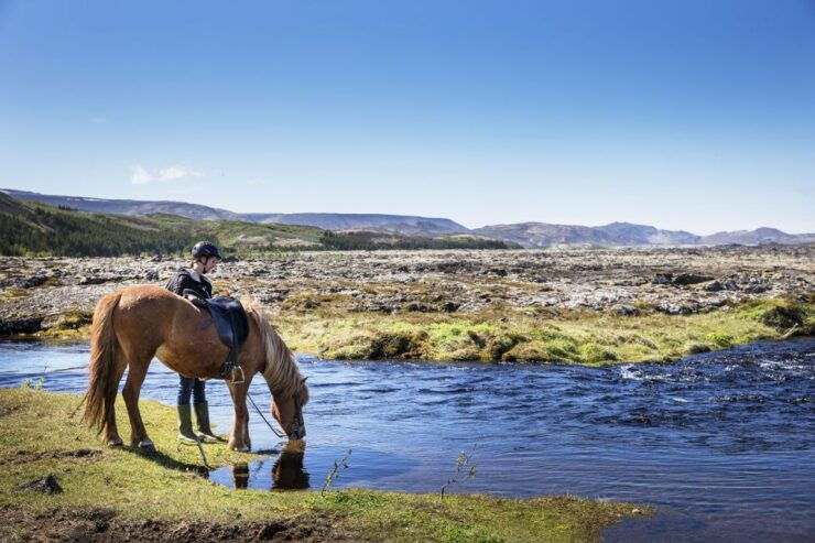Hafnarfjörður: Horseback Riding Tour in Reykjavik Area - Experience Inclusions
