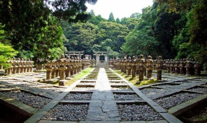 Hagi City Experience Tour Yamaguchi Prefecture, Japan - Experience Highlights