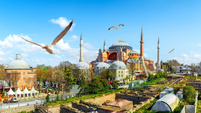 Hagia Sophia Ticket - Who should book this Hagia Sophia ticket?