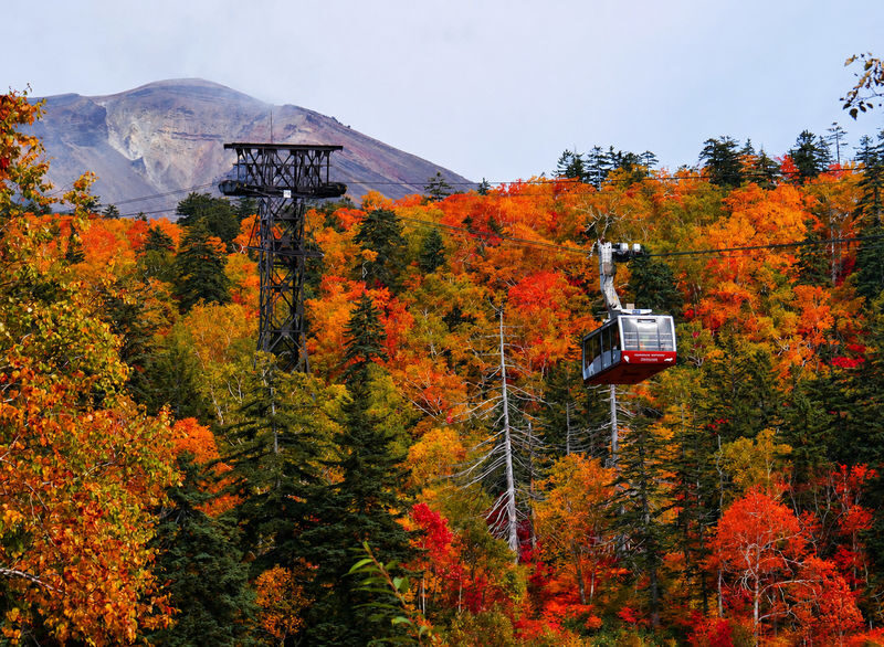 Hagoromo Falls & Daisetsuzan Full-Day Tour with Ropeway Ride - The long ride from Sapporo to Asahidake