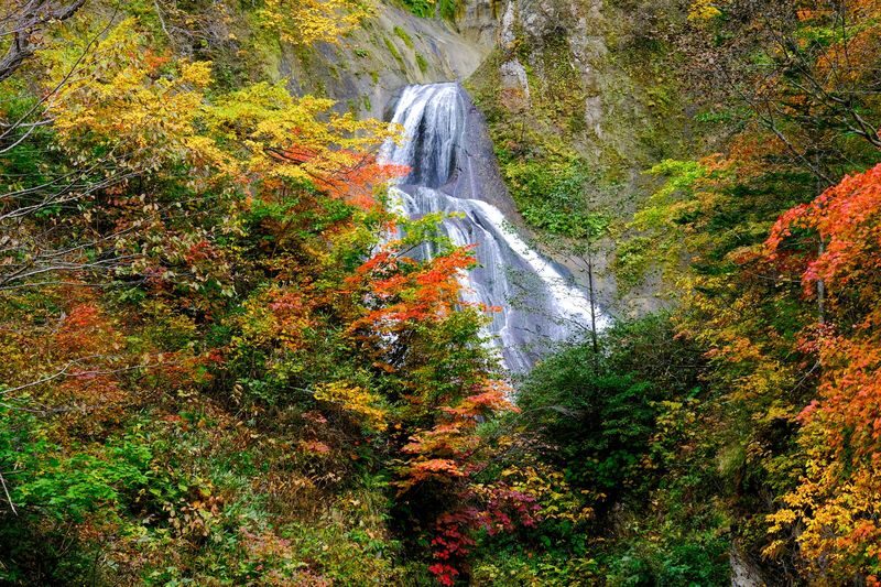 Hagoromo Falls & Daisetsuzan Full-Day Tour with Ropeway Ride - The Asahidake walk: scenic, but not just a stroll