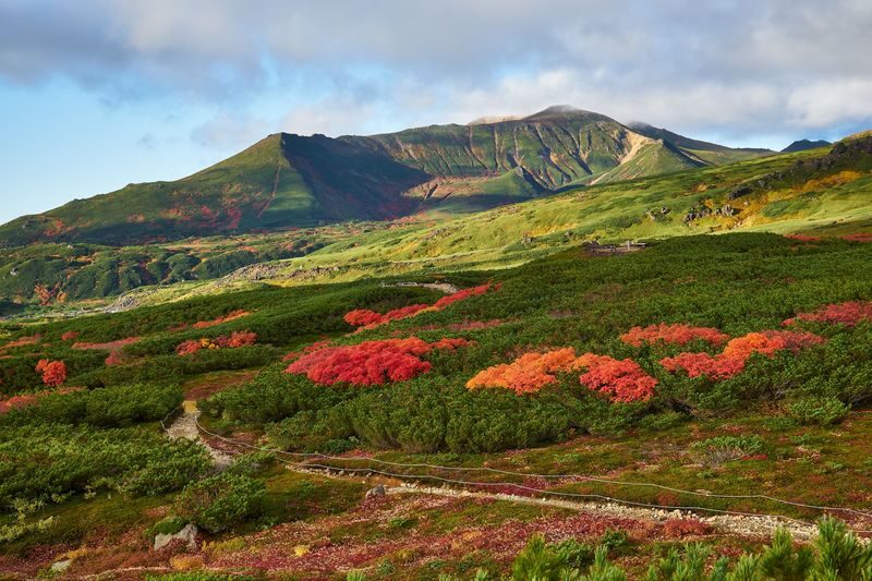 Hagoromo Falls & Daisetsuzan Full-Day Tour with Ropeway Ride - What the $79.05 starting price gets you in practical terms