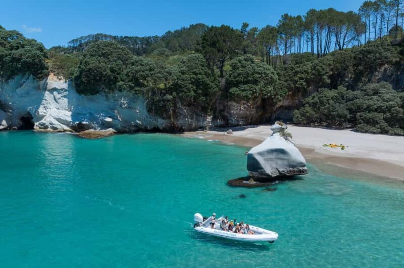 Hahei Explorer Cathedral Cove Boat Tour - An Inside Look at the Experience