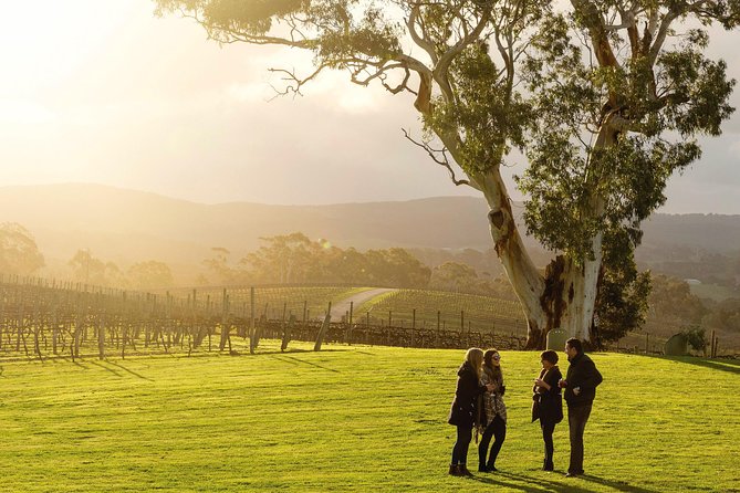 Hahndorf and Adelaide Hills Hop-On Hop-Off Winery Tour From City - Tour Details
