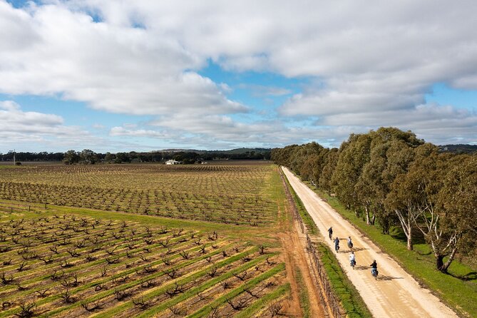 Hahndorf Food and Wine E-Bike Tour - Tour Overview and Itinerary