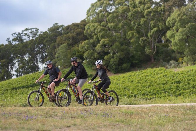 Hahndorf Food and Wine E-Bike Tour - The Sum Up