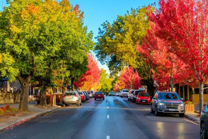 Hahndorf & Hills Full-day Tour - The day at a glance