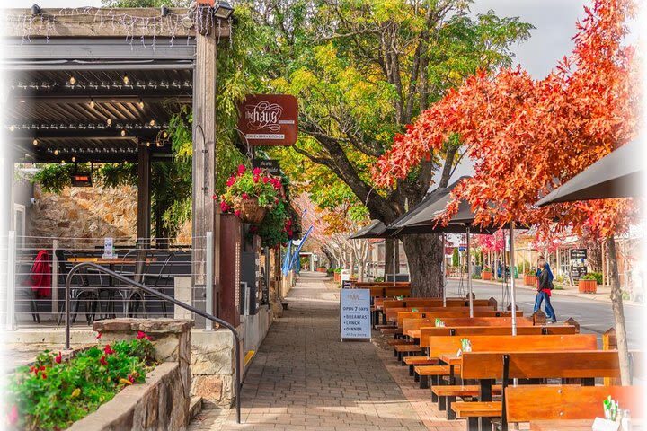 Hahndorf & Hills Full-day Tour - A high viewpoint before the village