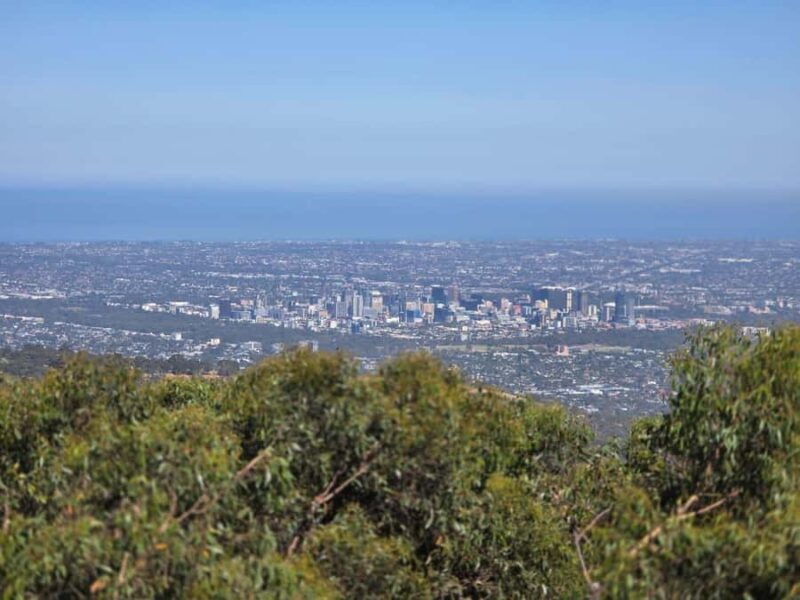 Hahndorf & Hills Full-Day Tour - Who Should Take This Tour?