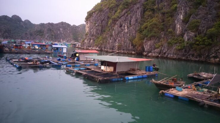 Hải Phòng: Full-Day Cruise to Lan Ha Bay and Ha Long Bay - Activity Details