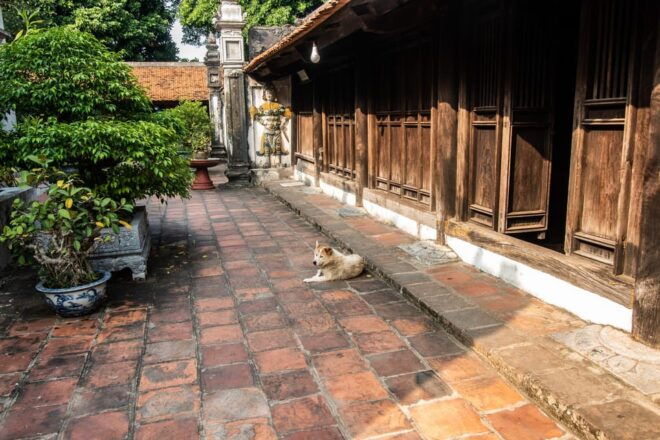 Hai Phong Highlights: Cultural & Historical Walking Tour - Cultural Insights
