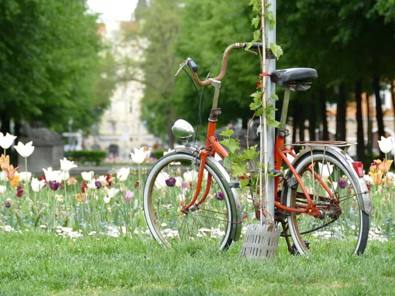 Haidhausen: Insider Tour! Secrets in Munich's French Quarter - Who Will Love This Tour?