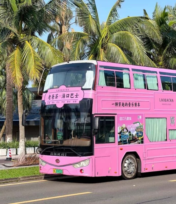 Haikou: 3H Dad Tea Themed Bus & Qilou Old Street Guided Walk - Good To Know