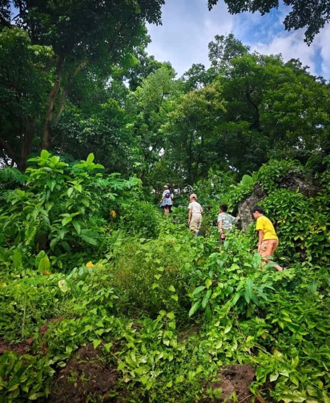 Haikou: 3H Leiqiong Volcanic Geo-Park Tour with Meal - Good To Know