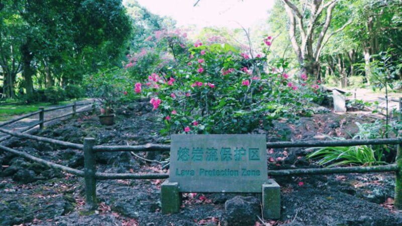 Haikou: China Leiqiong Global Geopark Entry Ticket - The Sum Up