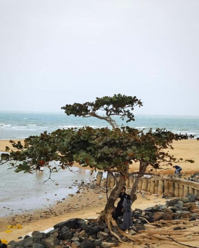 Haikou Local Life: Natural Volcano, Wetlands & Old Markets - Wuyuan River Wetland Park: A Sanctuary for Birdlife and Nature