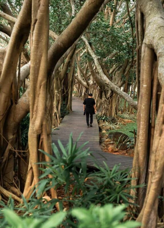 Haikou Local Life: Natural Volcano, Wetlands & Old Markets - Discovering Modern and Historic Haikou: Cloud Cave Library and Qilou Old Street