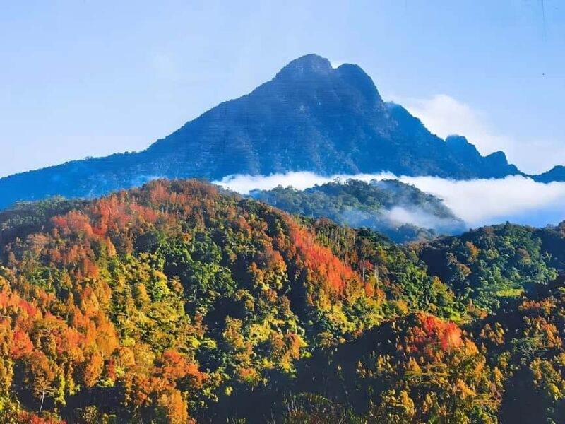 Hainan: A private day trip to Wuzhishan - Good To Know  