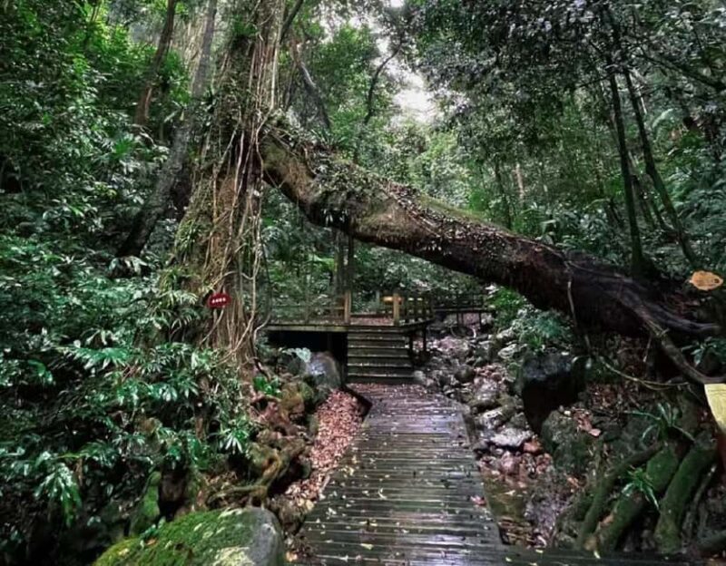 Hainan: A private day trip to Wuzhishan - A Complete Breakdown of What to Expect  