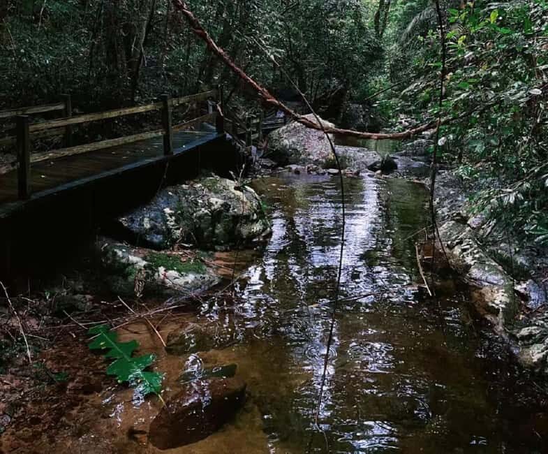 Hainan: A private day trip to Wuzhishan - Who Would Love This Tour?  