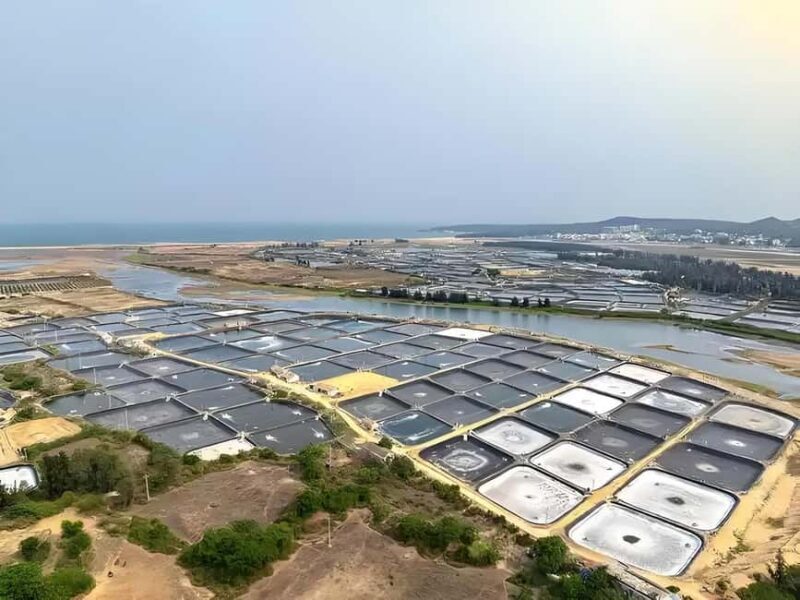 Hainan: Xiantian Village, Junling Temple, & Qizi Bay Tour - Good To Know