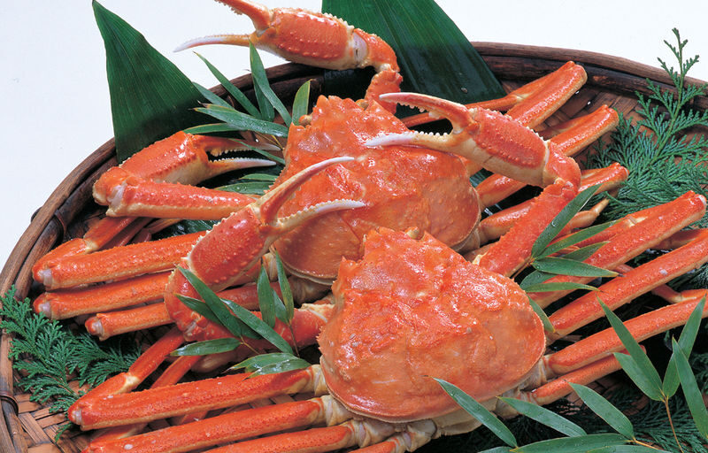 Hakata Kora Honten: A Crab Cuisine Culinary Experience - A calm dining room, with service worth watching