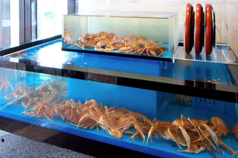 Hakata Kora Honten: A Crab Cuisine Culinary Experience - Is Hakata Kora Honten worth booking?