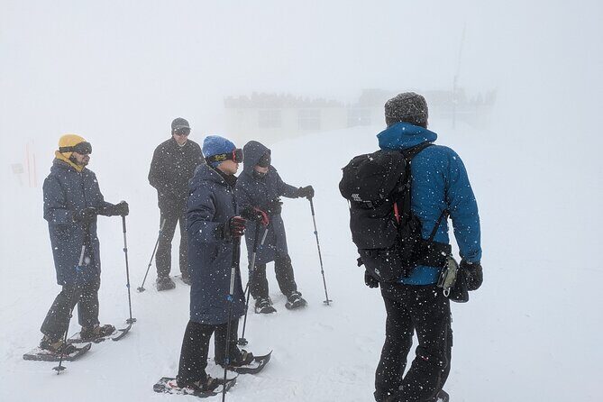 Hakkoda Area Snowshoe Adventure Tour - Exploring the Hakkoda Snowshoe Adventure in Detail